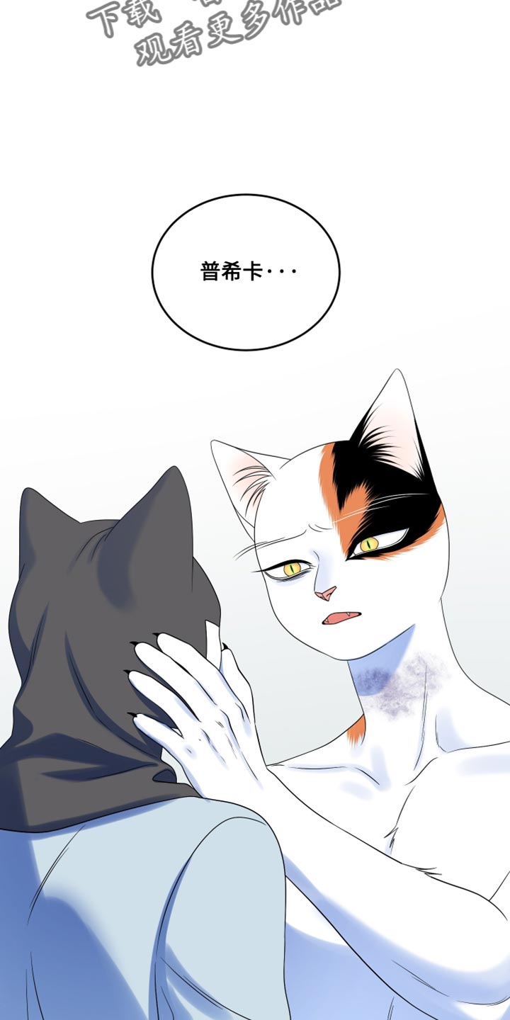 灵猫欧米伽漫画免费观看漫画,第165话2图