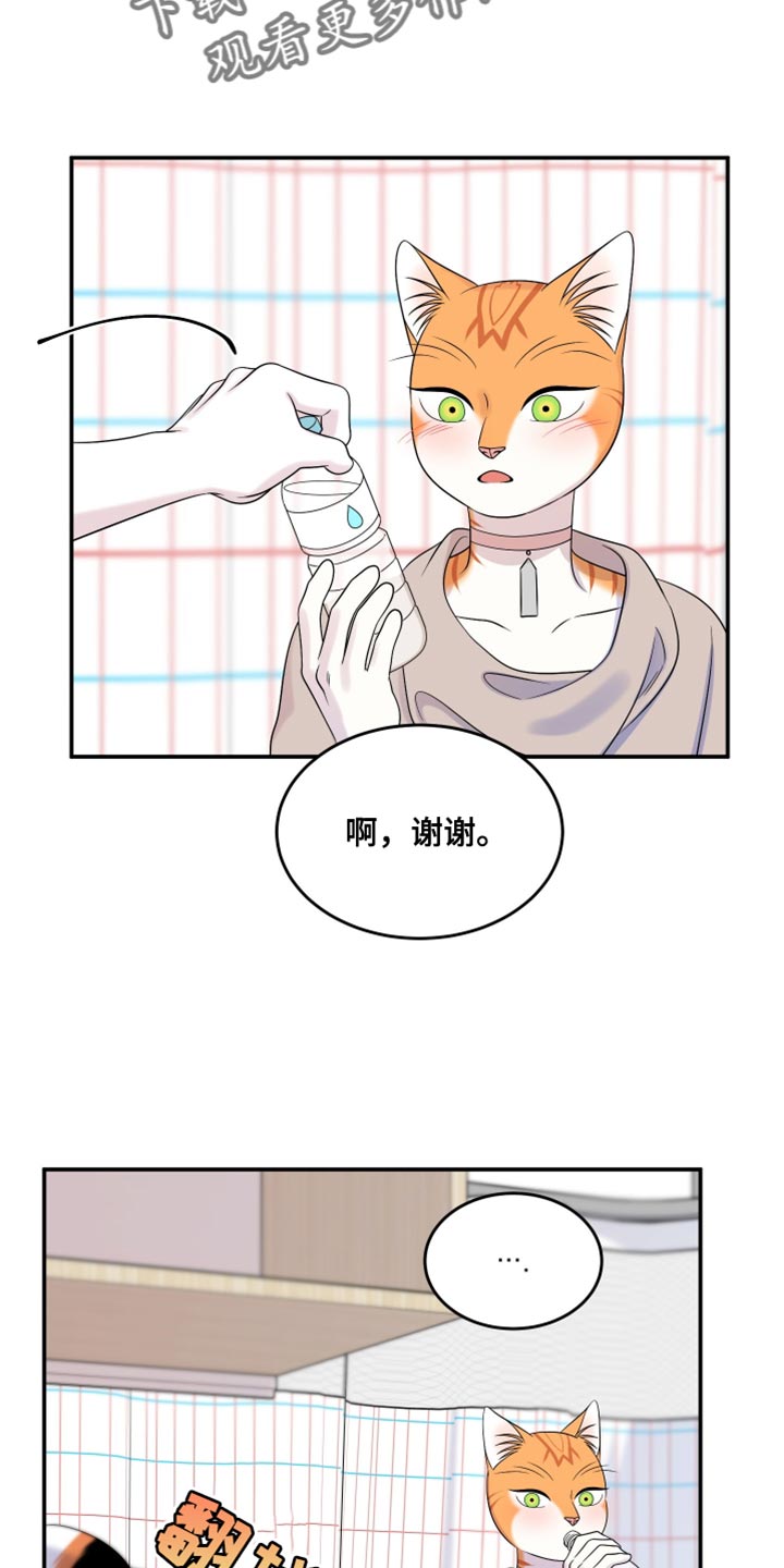 灵猫欧米伽免费版在哪里看漫画,第168话2图