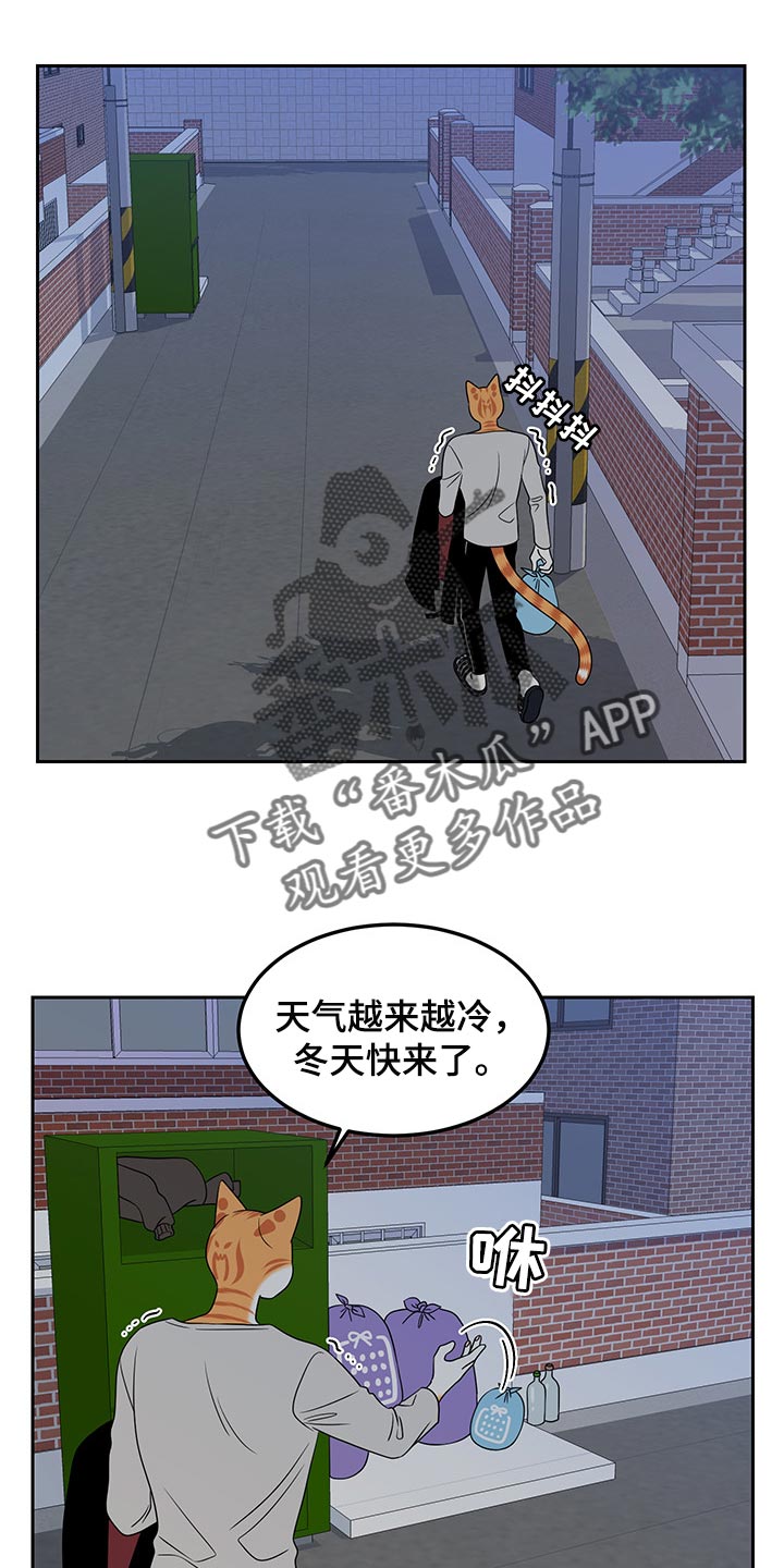 灵猫欧米伽2漫画,第43话1图