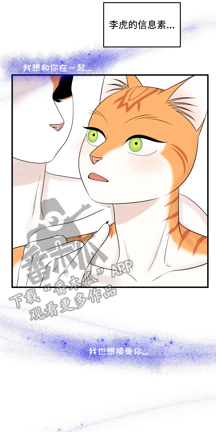 灵猫欧米伽漫画免费双男主漫画,第106话2图