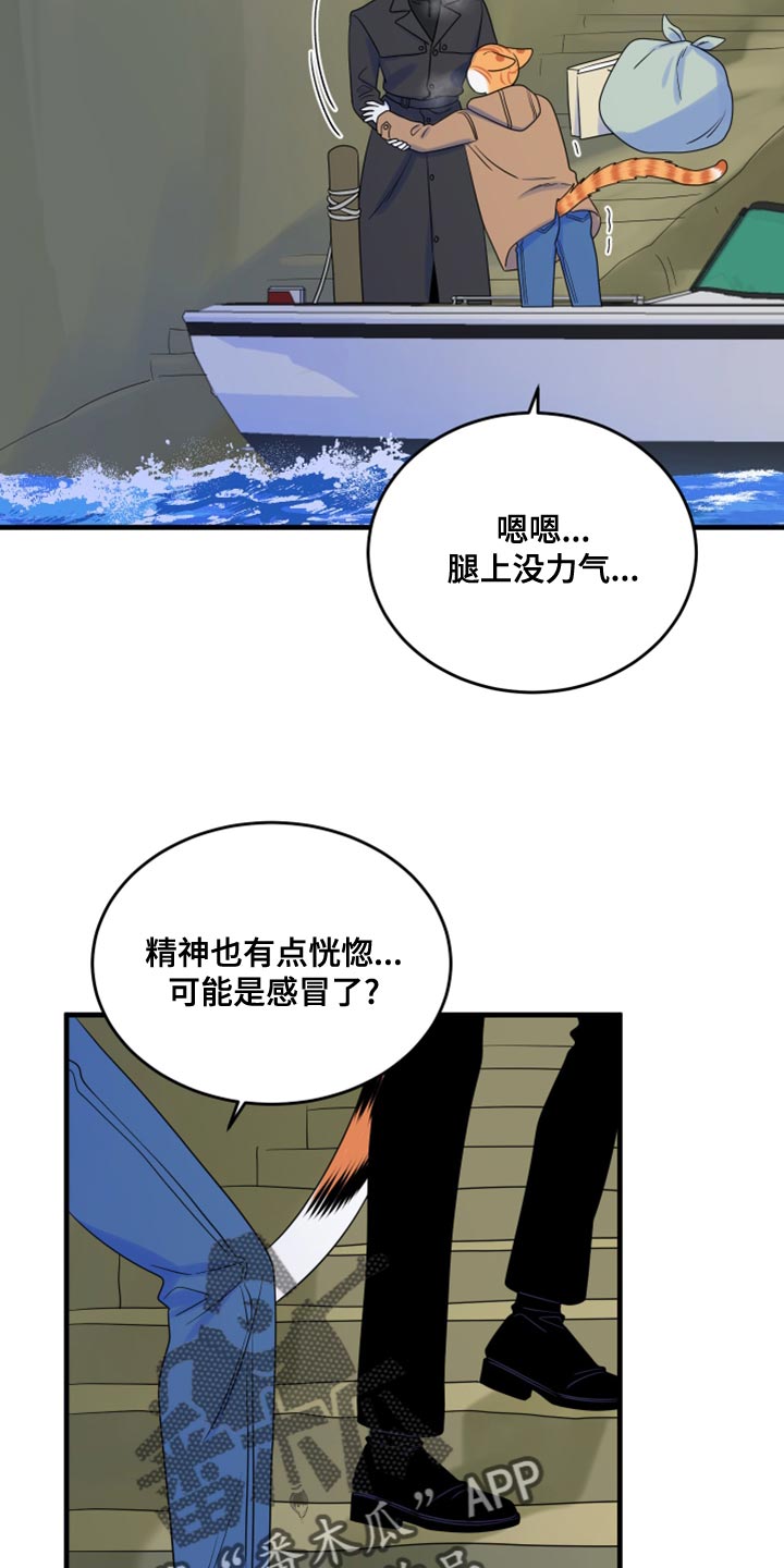 灵猫欧米伽漫画下拉漫画,第103话2图