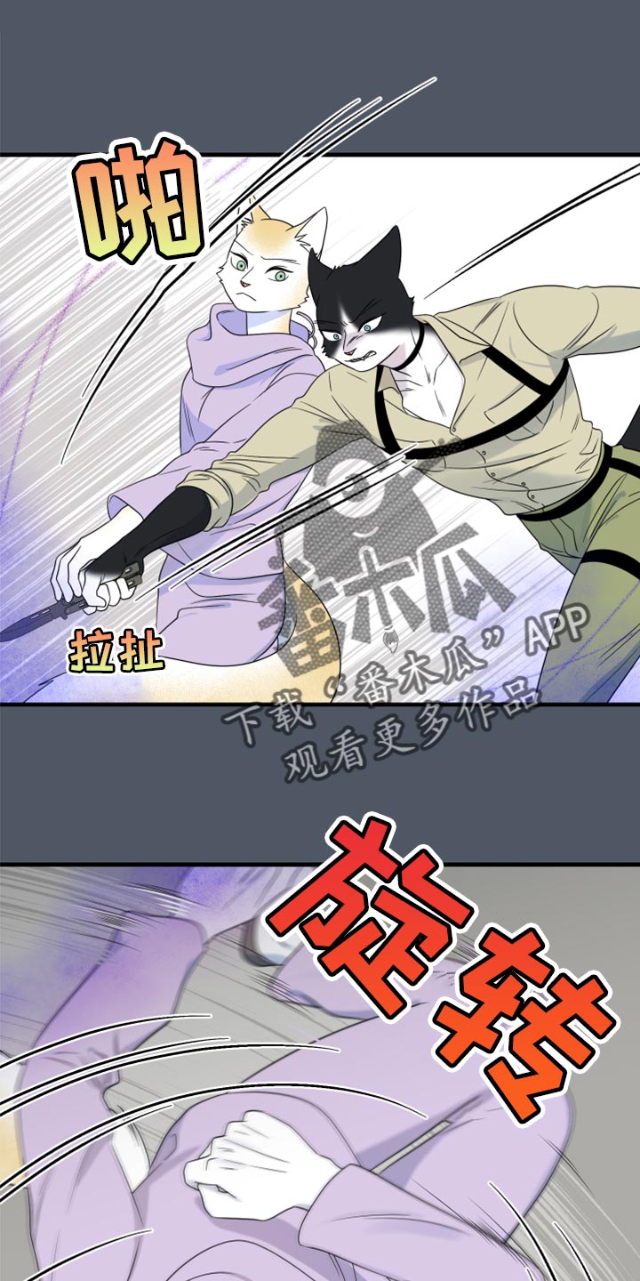 灵猫欧米伽漫蛙叫什么漫画,第84话1图