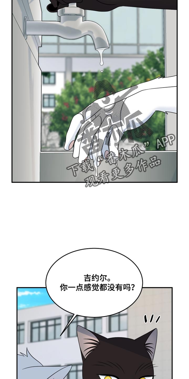 灵猫欧米伽合集漫画,第140话2图