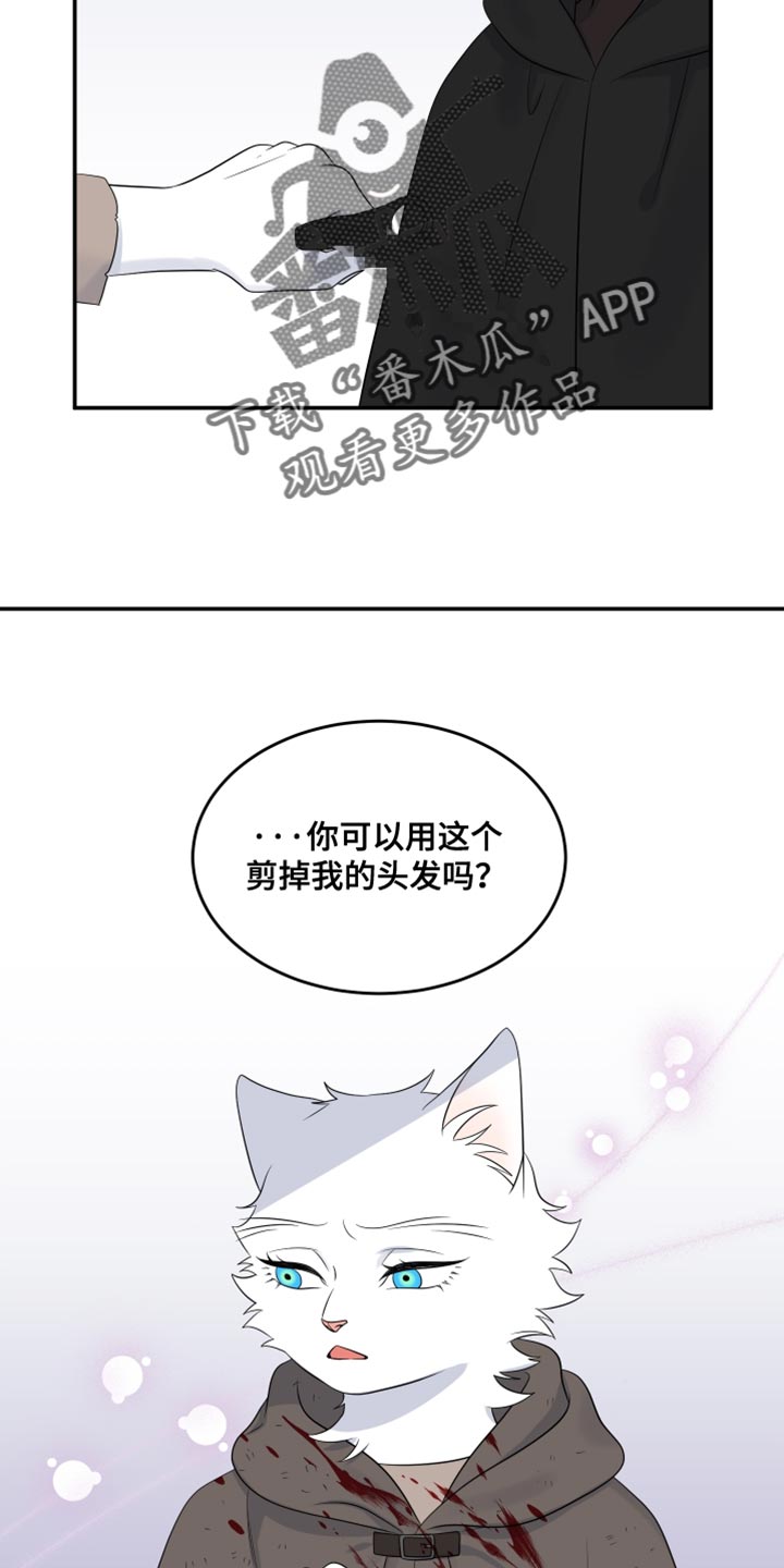 灵猫欧米伽大结局漫画,第142话2图