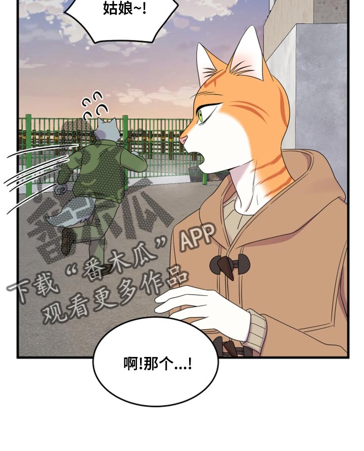 灵猫欧米伽第三季什么时候出漫画,第102话2图