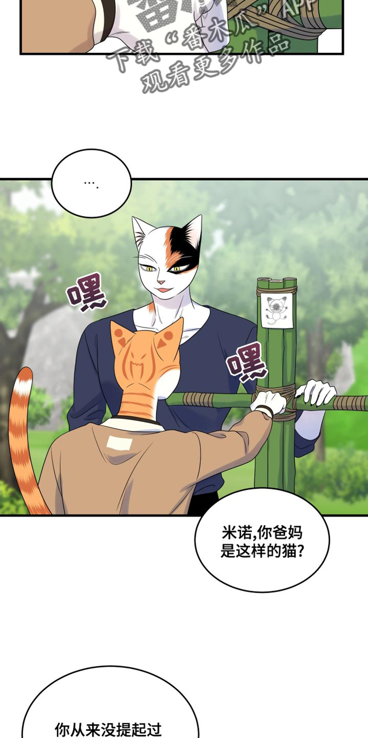 灵猫欧米茄画涯漫画,第98话2图