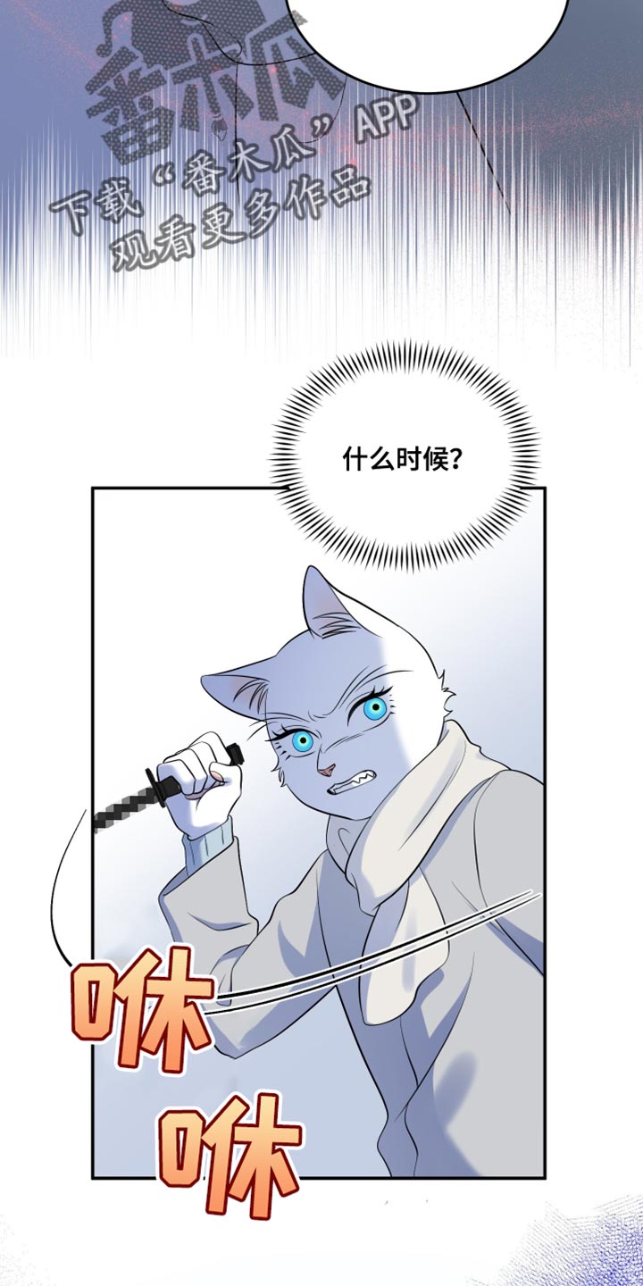 灵猫欧米伽合集漫画,第146话1图