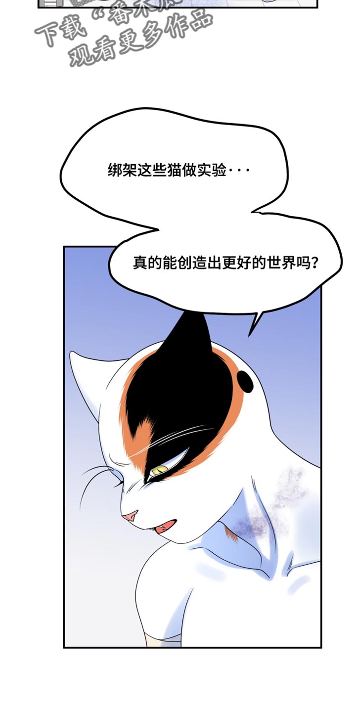 灵猫欧米伽漫画全集免费观看漫画,第164话2图