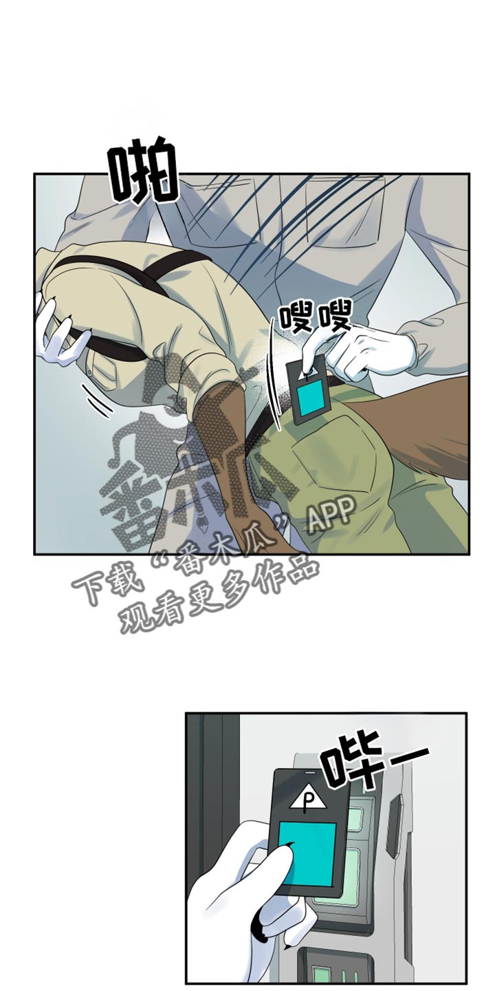 灵猫欧米伽免费漫画,第124话1图