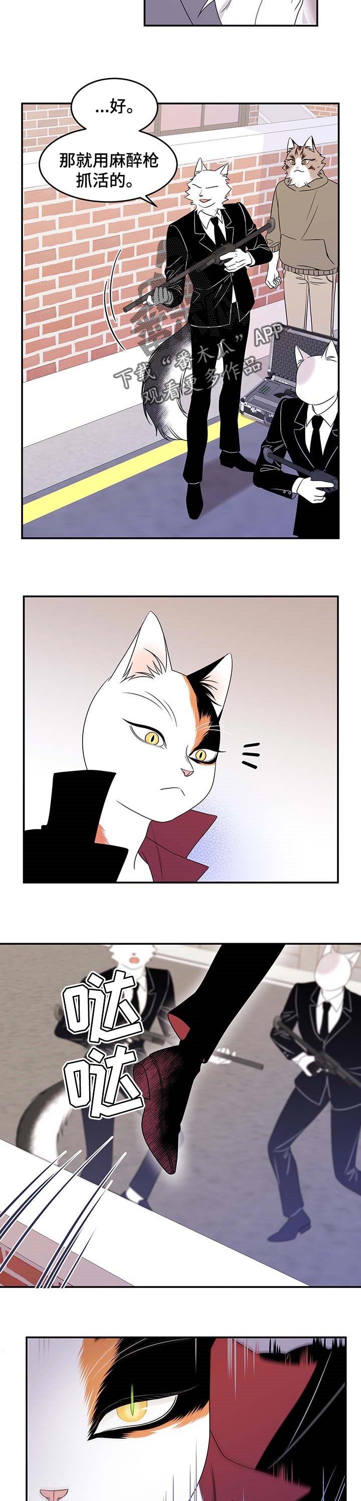 灵猫欧米伽大结局漫画,第28话1图