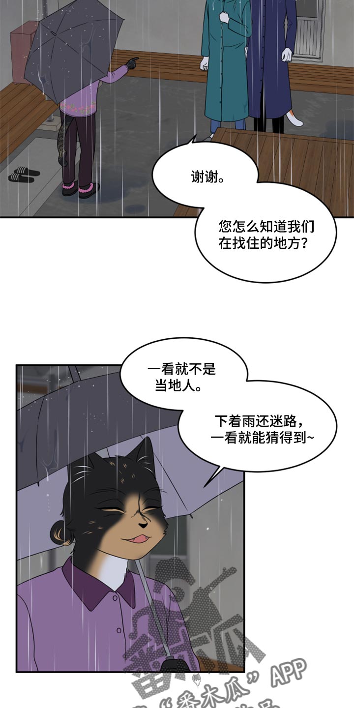 灵猫欧米伽第三季156章漫画,第54话2图