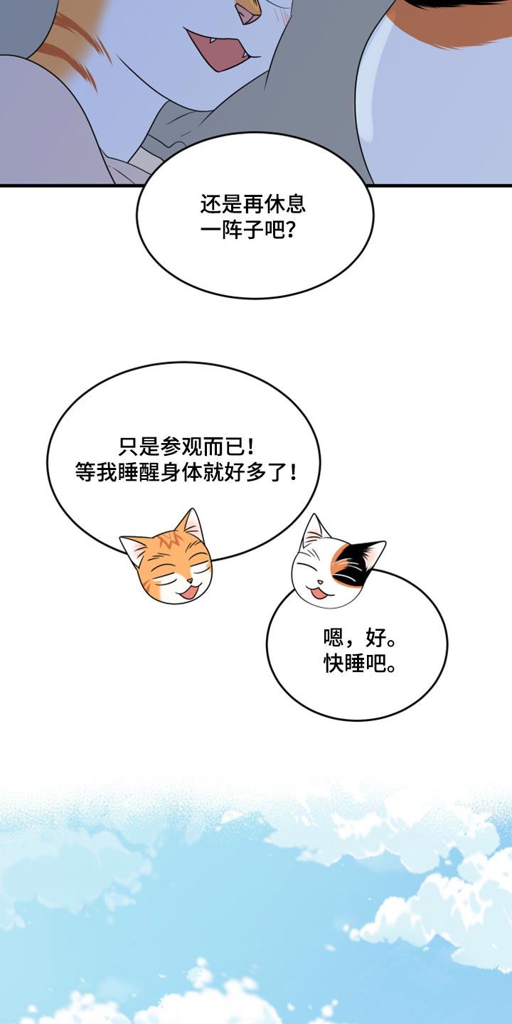 灵猫欧米伽免费阅读漫画,第67话2图