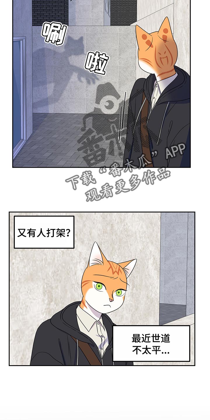 灵猫欧米伽漫画,第43话1图
