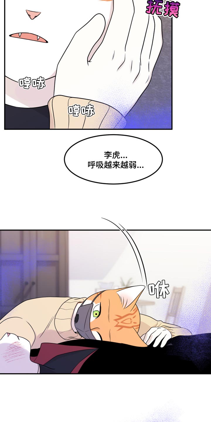 灵猫欧米伽第三季什么时候出漫画,第51话2图