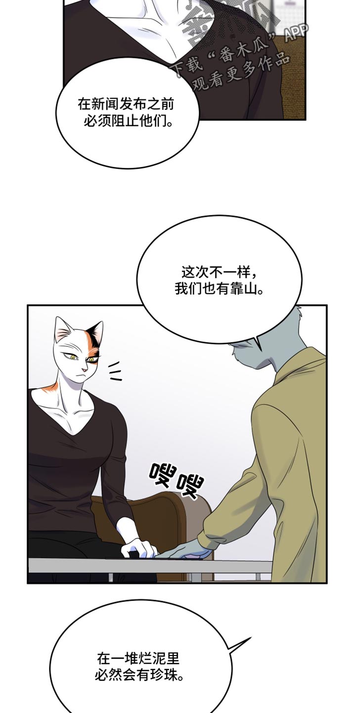 灵猫欧米伽免费阅读漫画,第117话2图