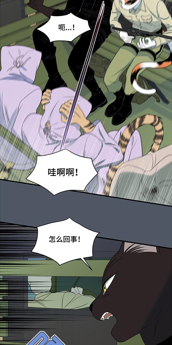 灵猫欧米伽免费版在哪里看漫画,第80话1图