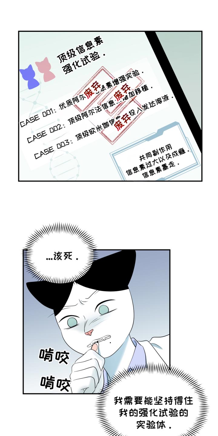 欧米伽3对猫的作用漫画,第121话2图