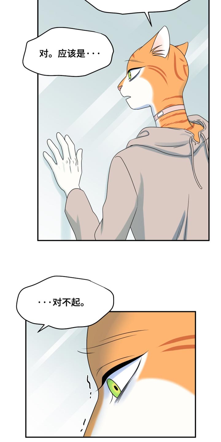 灵猫欧米伽漫蛙叫什么漫画,第160话2图