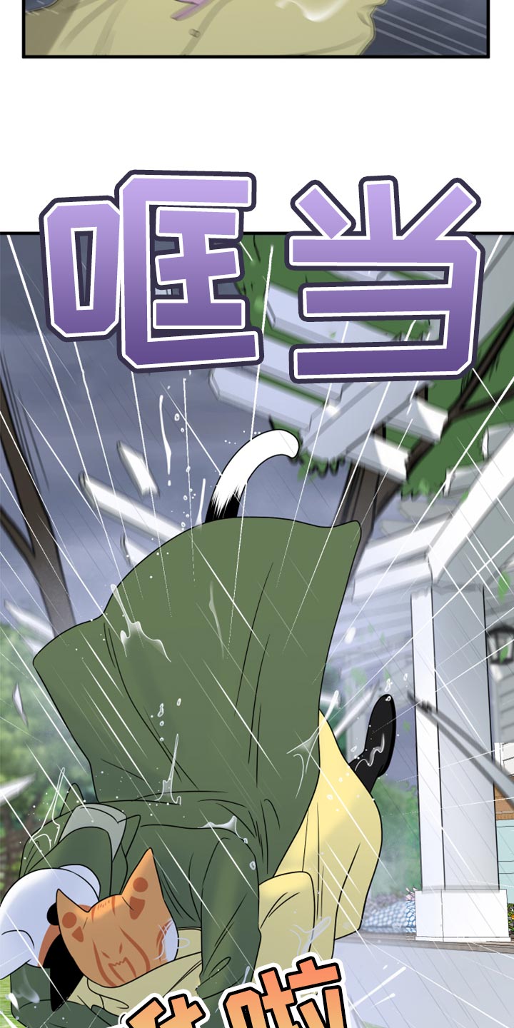 灵猫欧米伽漫画,第88话1图
