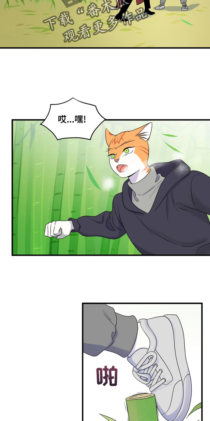 灵猫一起画画画漫画,第98话1图