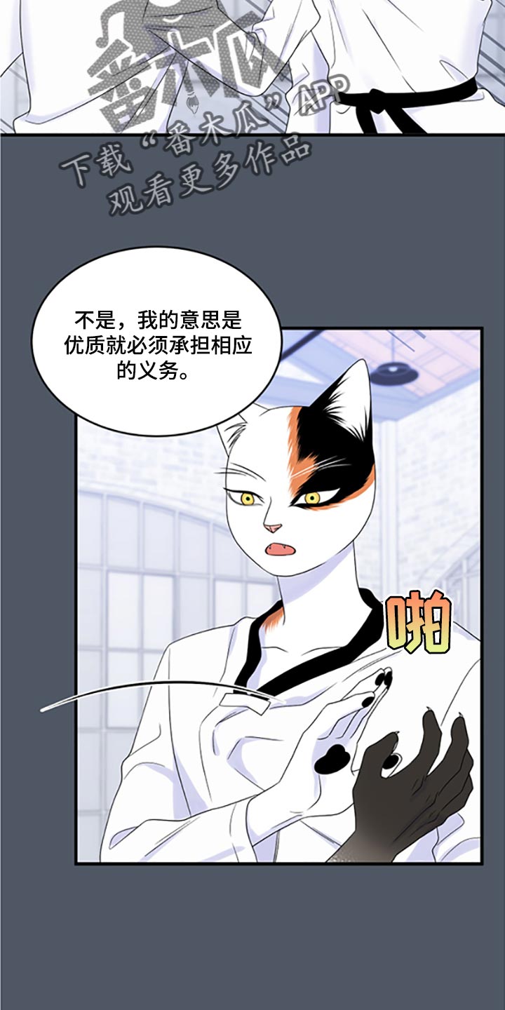 灵猫欧米茄画涯漫画,第77话2图