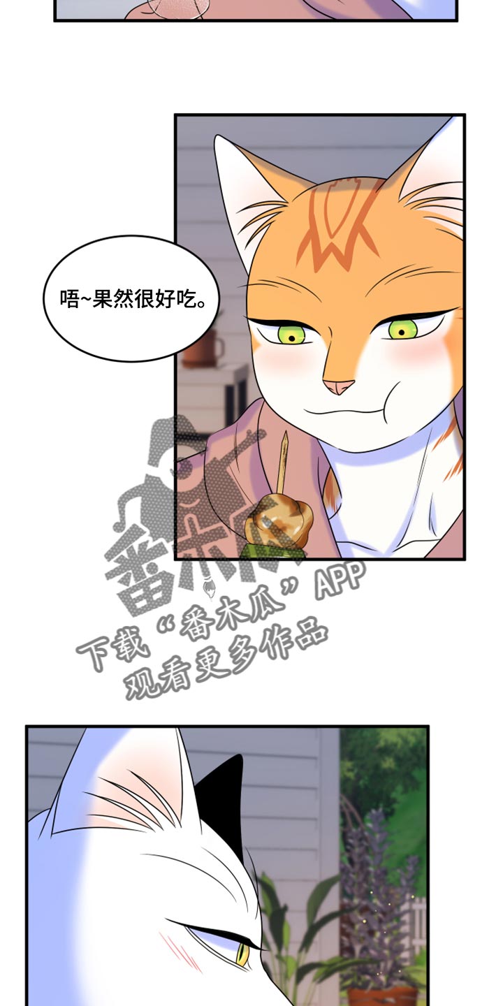 灵猫欧米伽双猫漫画,第93话2图