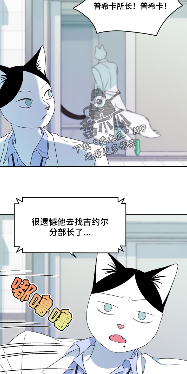 灵猫欧米伽漫画,第57话1图