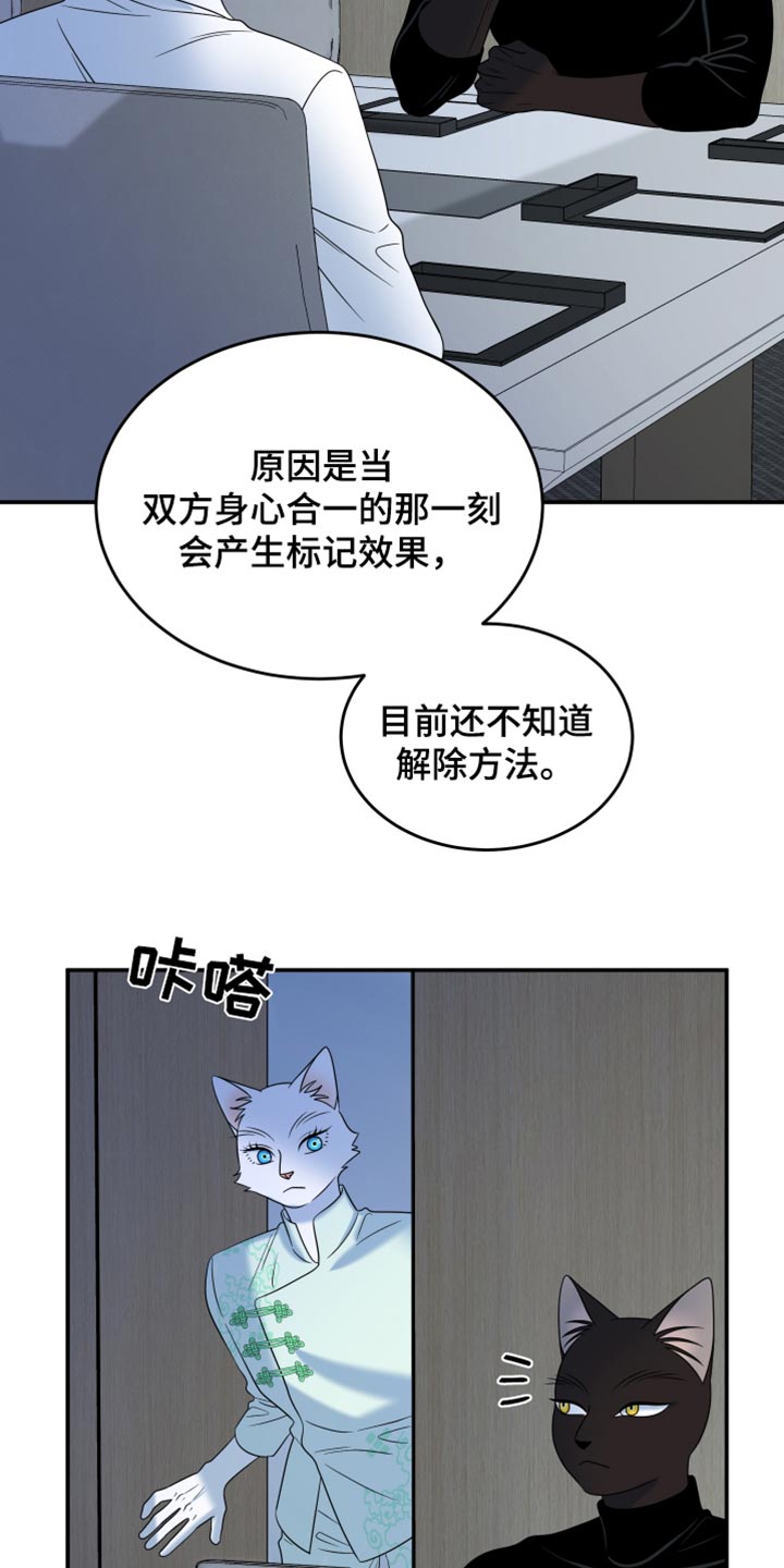 灵猫传下载漫画,第120话2图