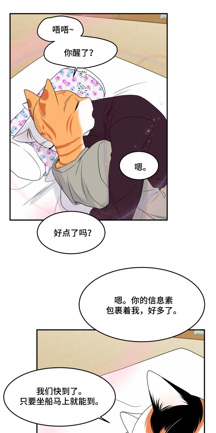 灵猫欧米伽免费阅读漫画,第54话2图