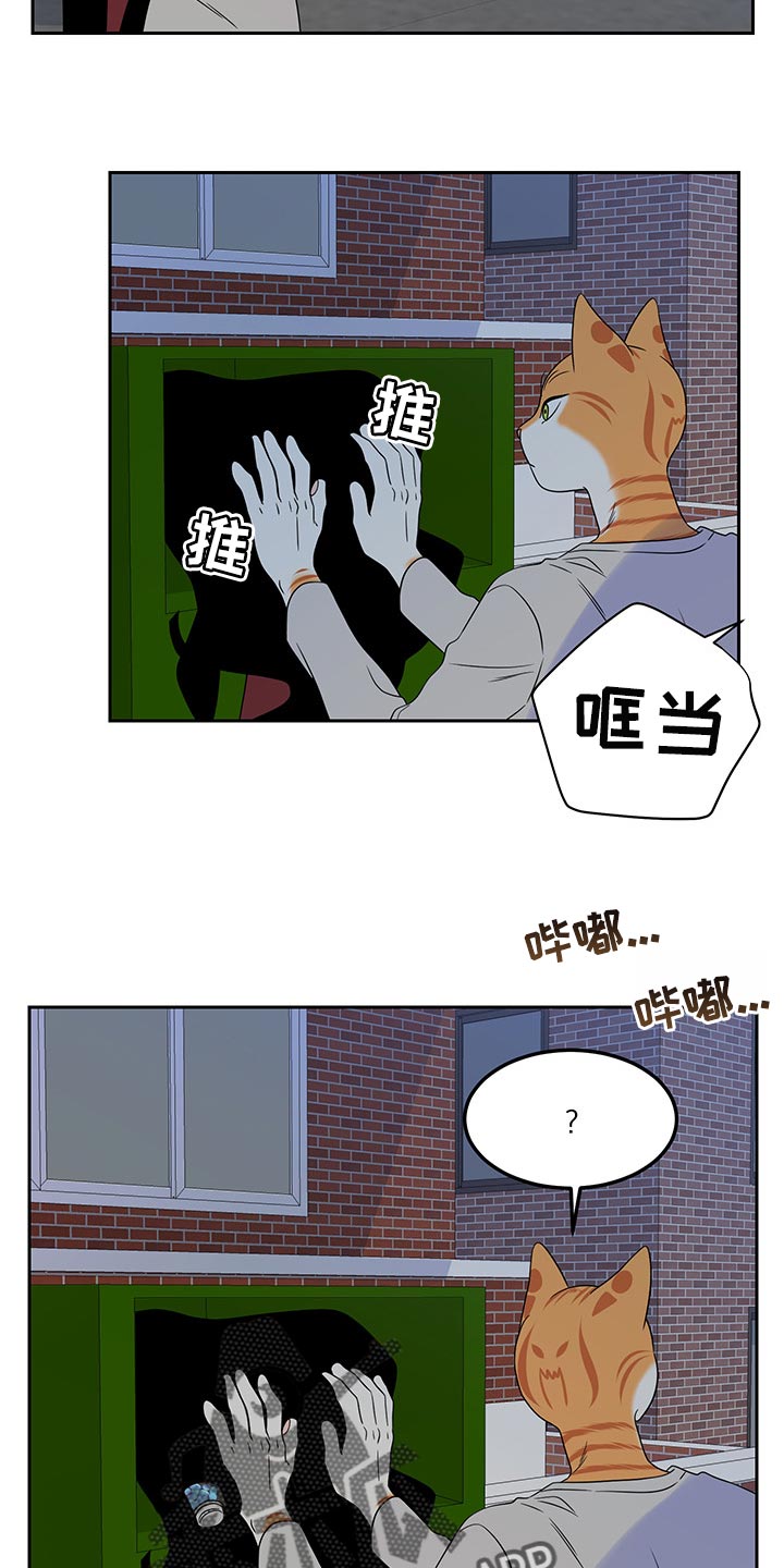 灵猫欧米伽第三季156章漫画,第43话2图