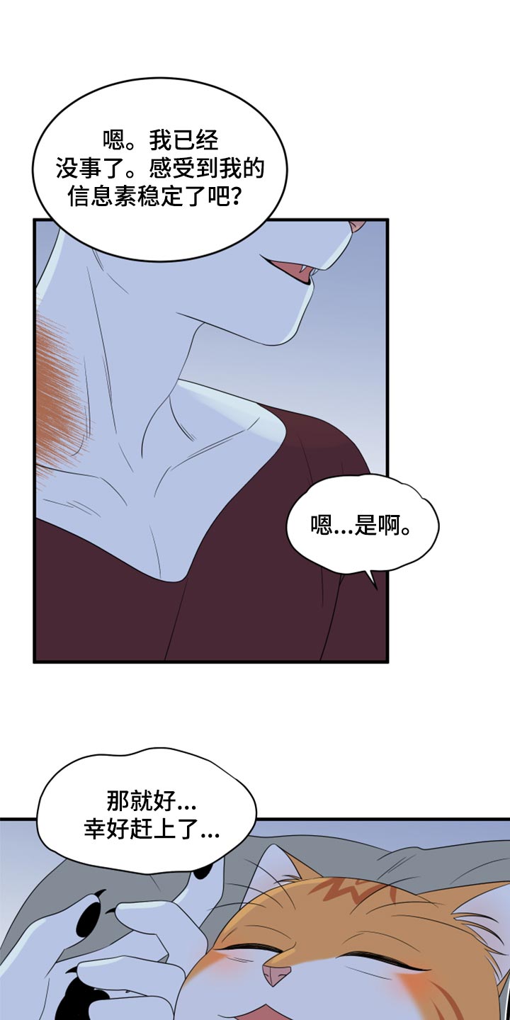 灵猫欧米伽第三季156章漫画,第66话2图