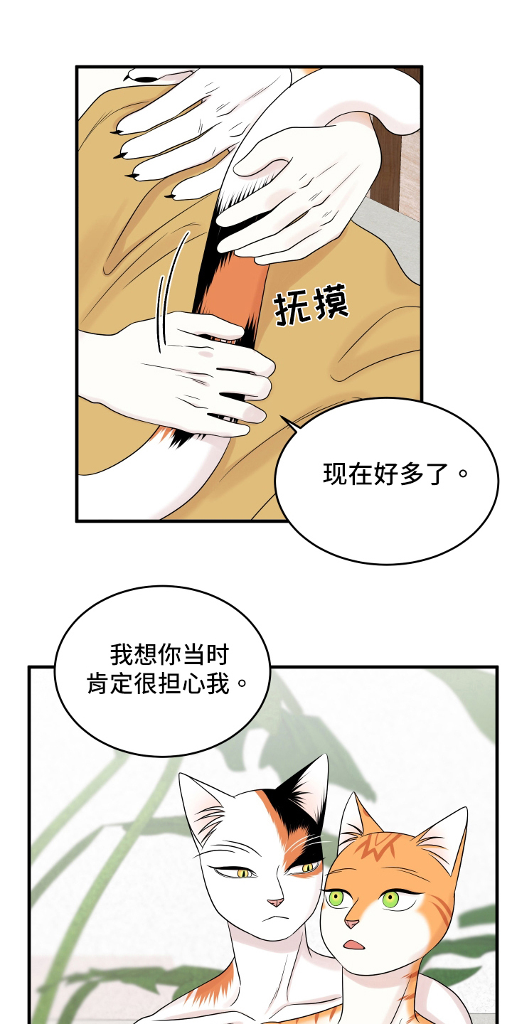 灵猫欧米伽视频漫画,第105话2图