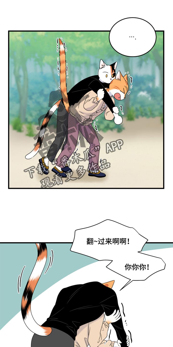 灵猫欧米伽免费漫画,第87话1图