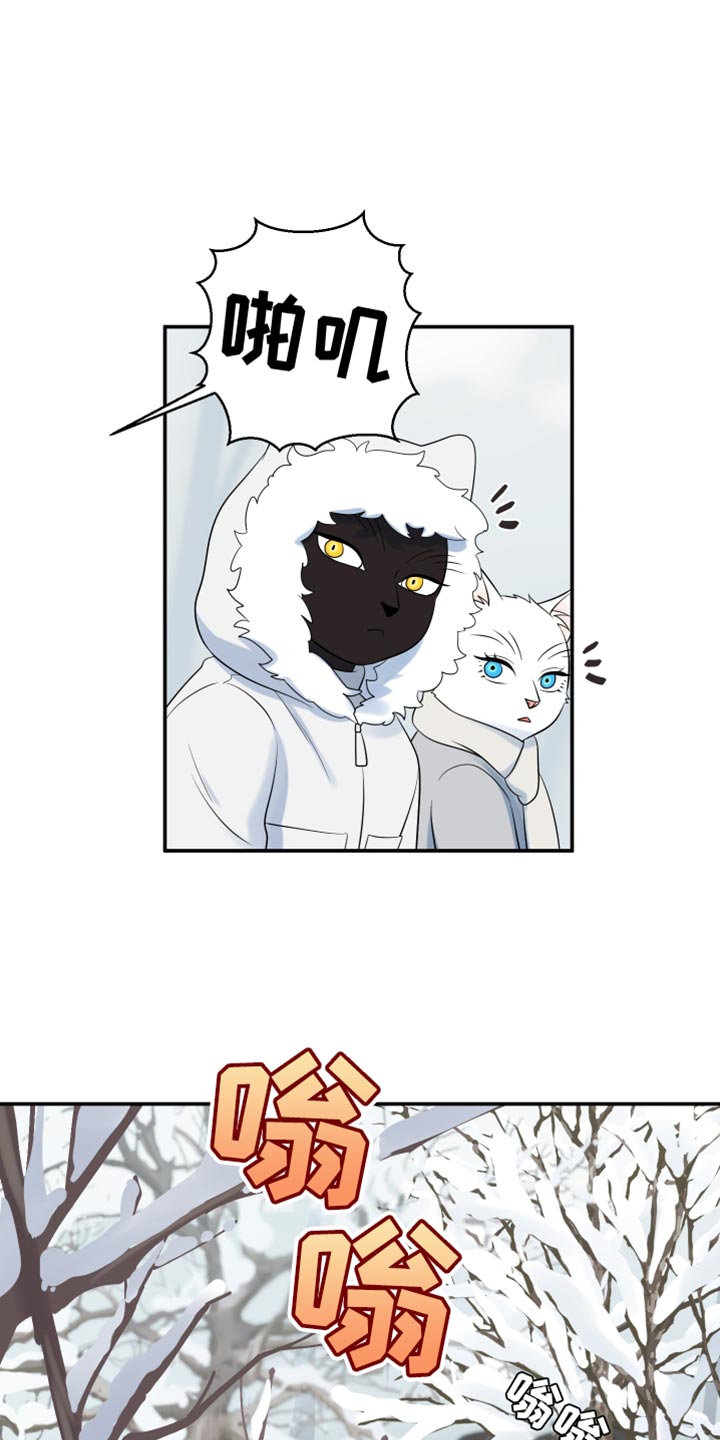 灵猫欧米伽漫画,第144话1图