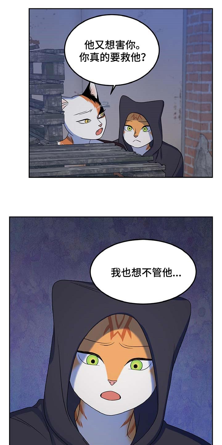 灵猫欧米伽视频漫画,第37话1图