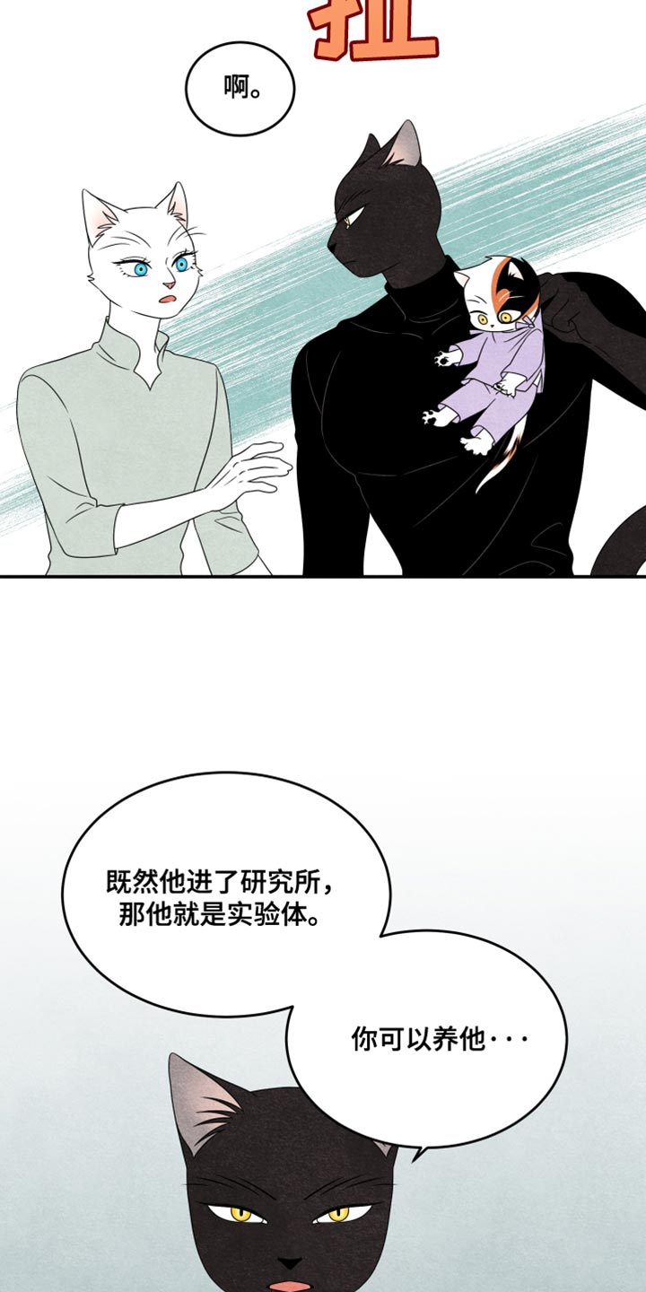 灵猫欧米伽2漫画,第157话2图