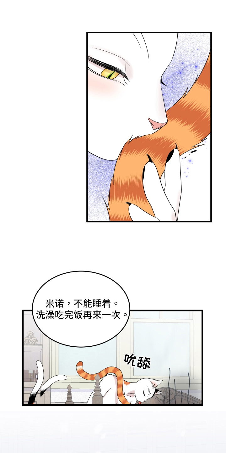 灵猫欧米伽2漫画,第105话2图