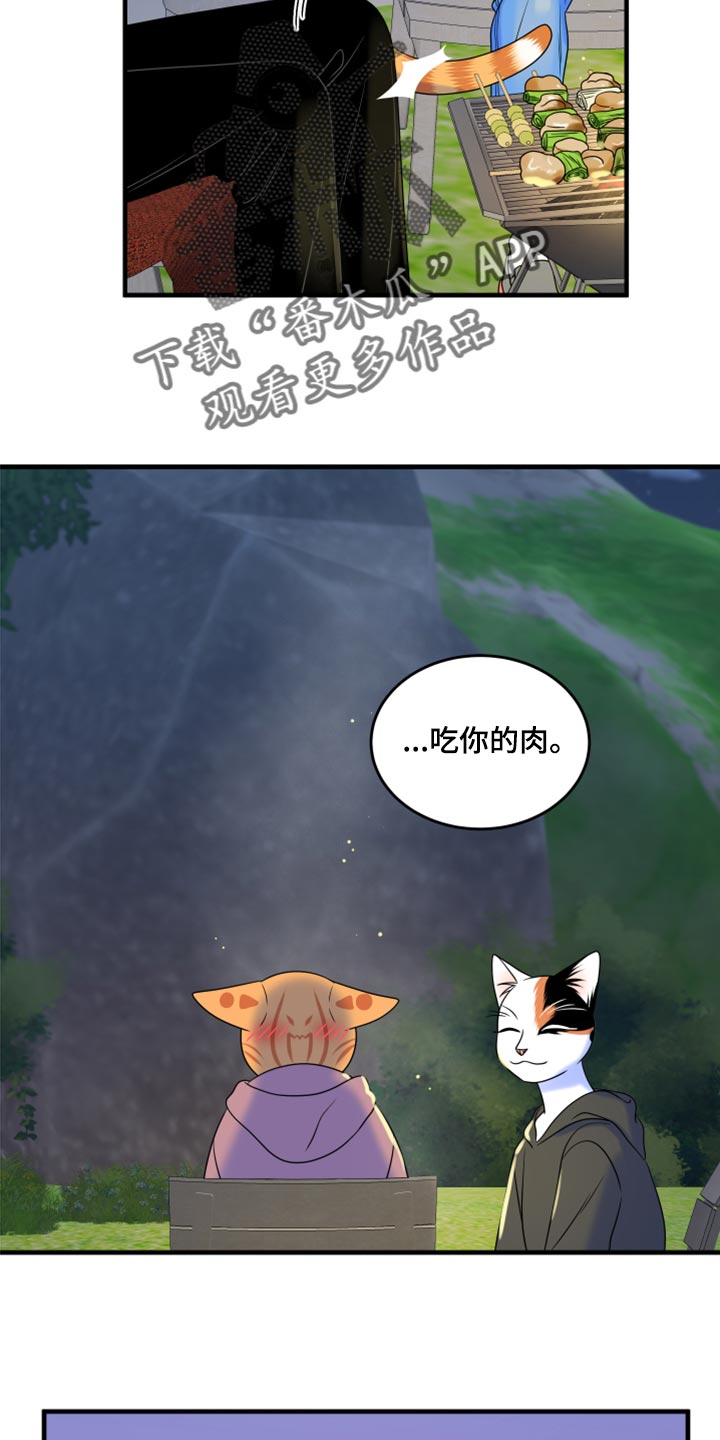 灵猫欧米伽双猫漫画,第93话1图