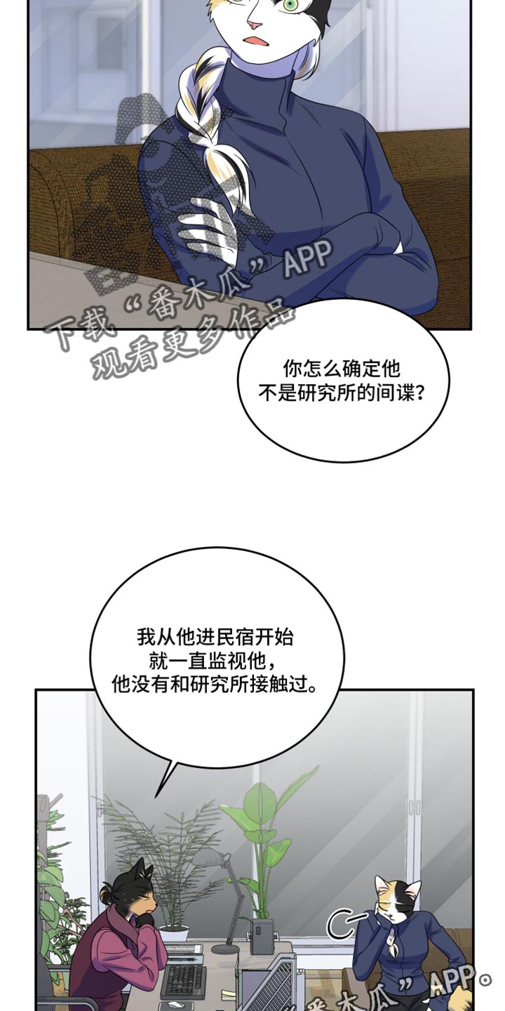 灵猫传汪苏泷漫画,第115话1图