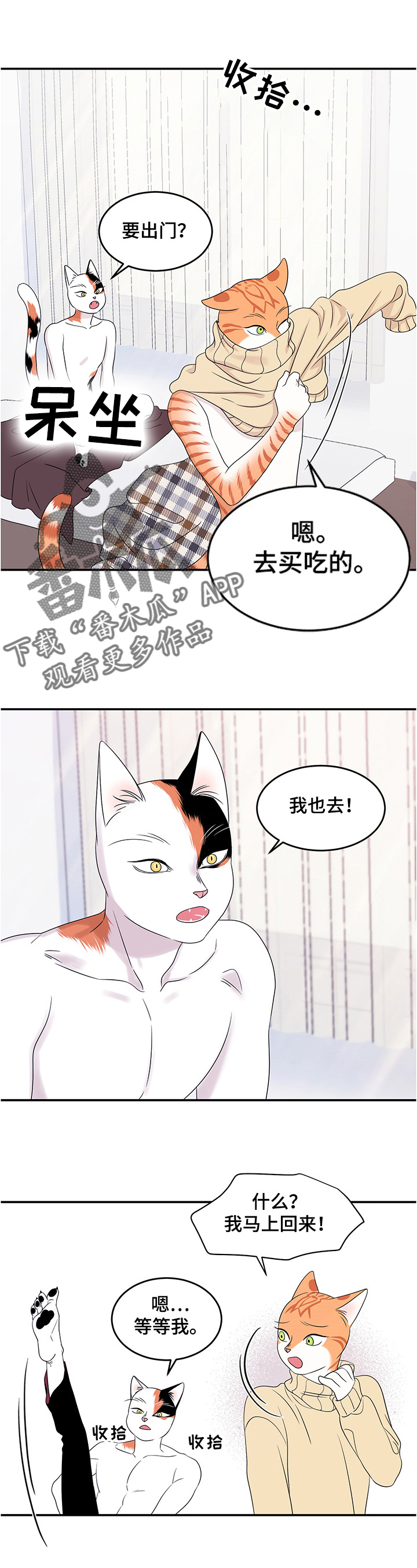 灵猫欧米伽免费阅读漫画,第8话2图