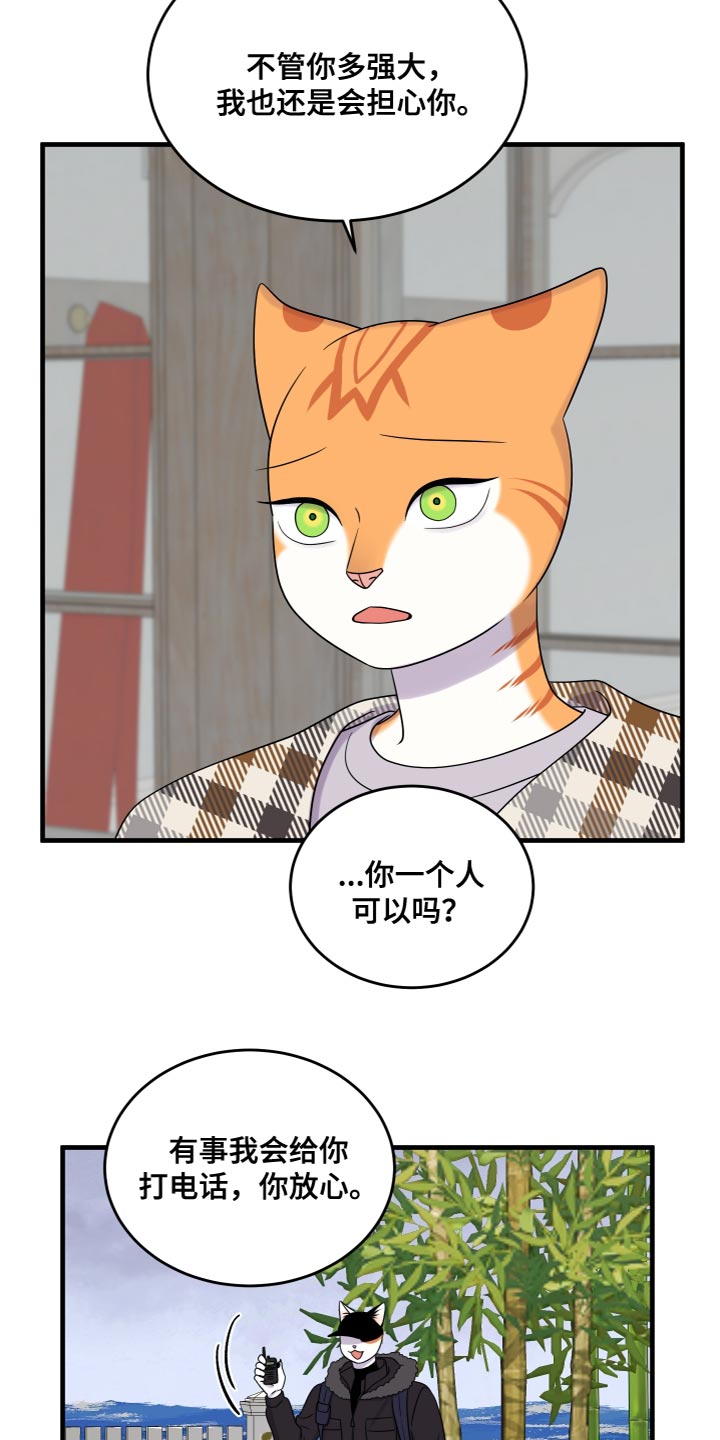 欧米伽3对猫的作用漫画,第108话1图