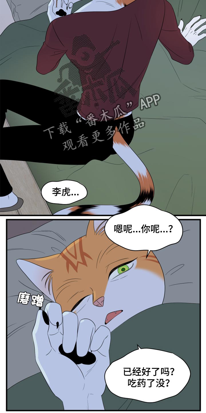 灵猫欧米伽第三季156章漫画,第66话1图