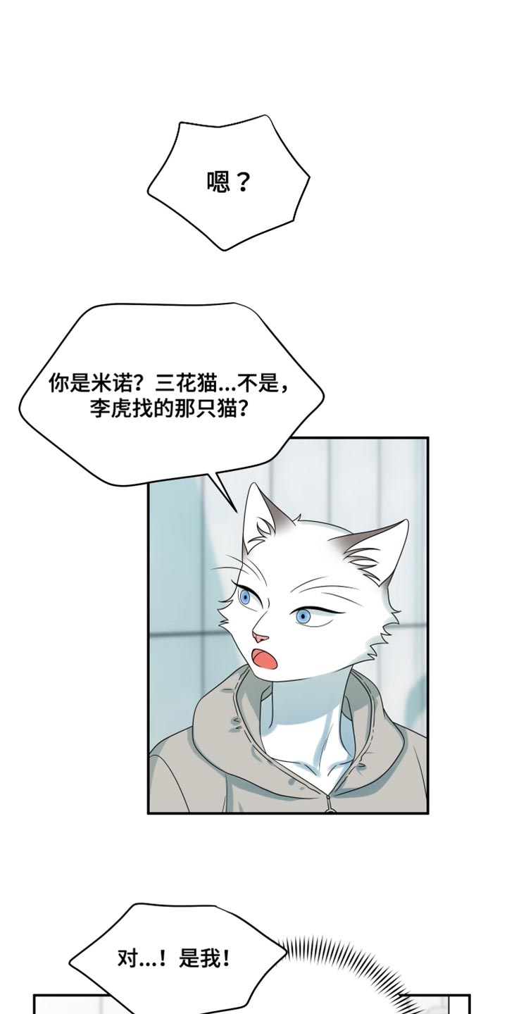 灵猫欧米茄画涯漫画,第160话1图