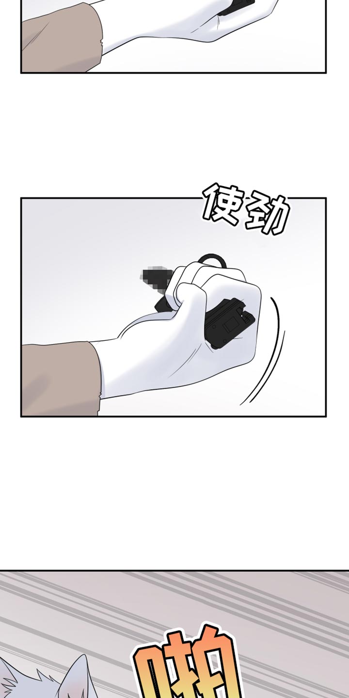 灵猫欧米伽漫蛙叫什么漫画,第142话2图