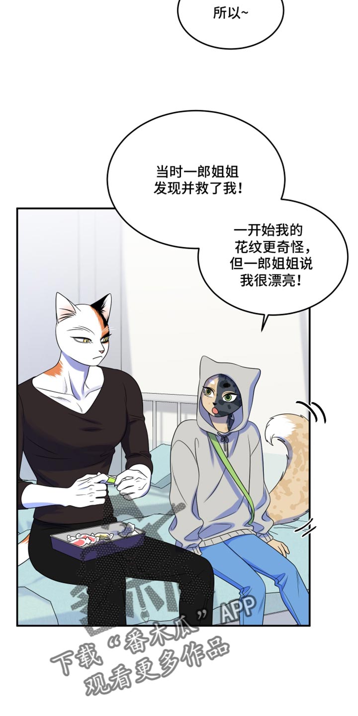 灵猫欧米伽漫画下拉漫画,第116话1图