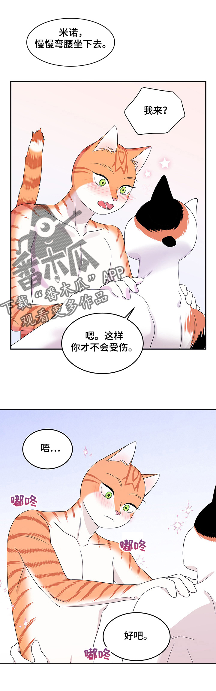 灵猫欧米伽漫画全集免费观看漫画,第13话1图