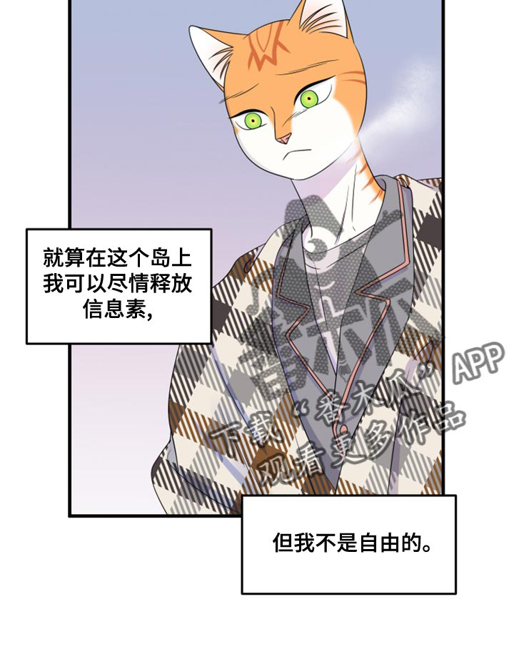 灵猫欧米伽漫画,第99话1图