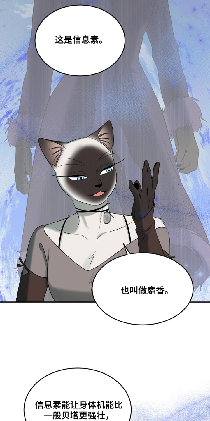 漫画灵猫欧米伽漫画,第150话1图