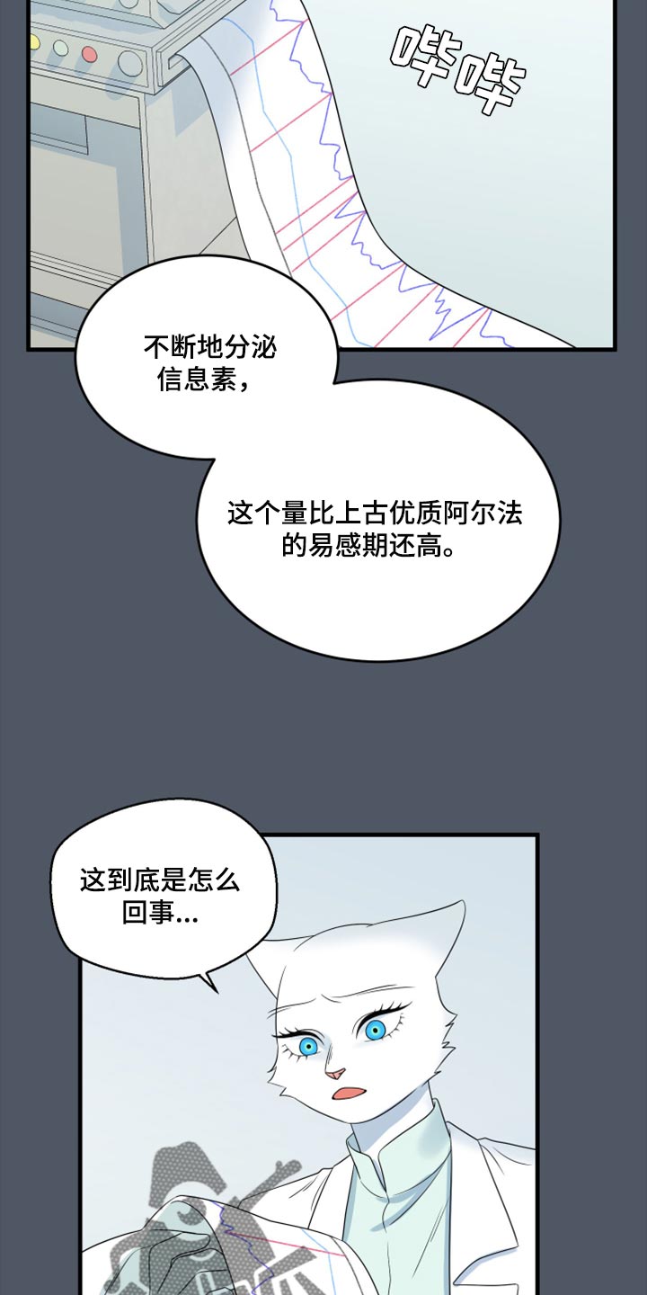 灵猫欧米伽免费版在哪里看漫画,第85话1图