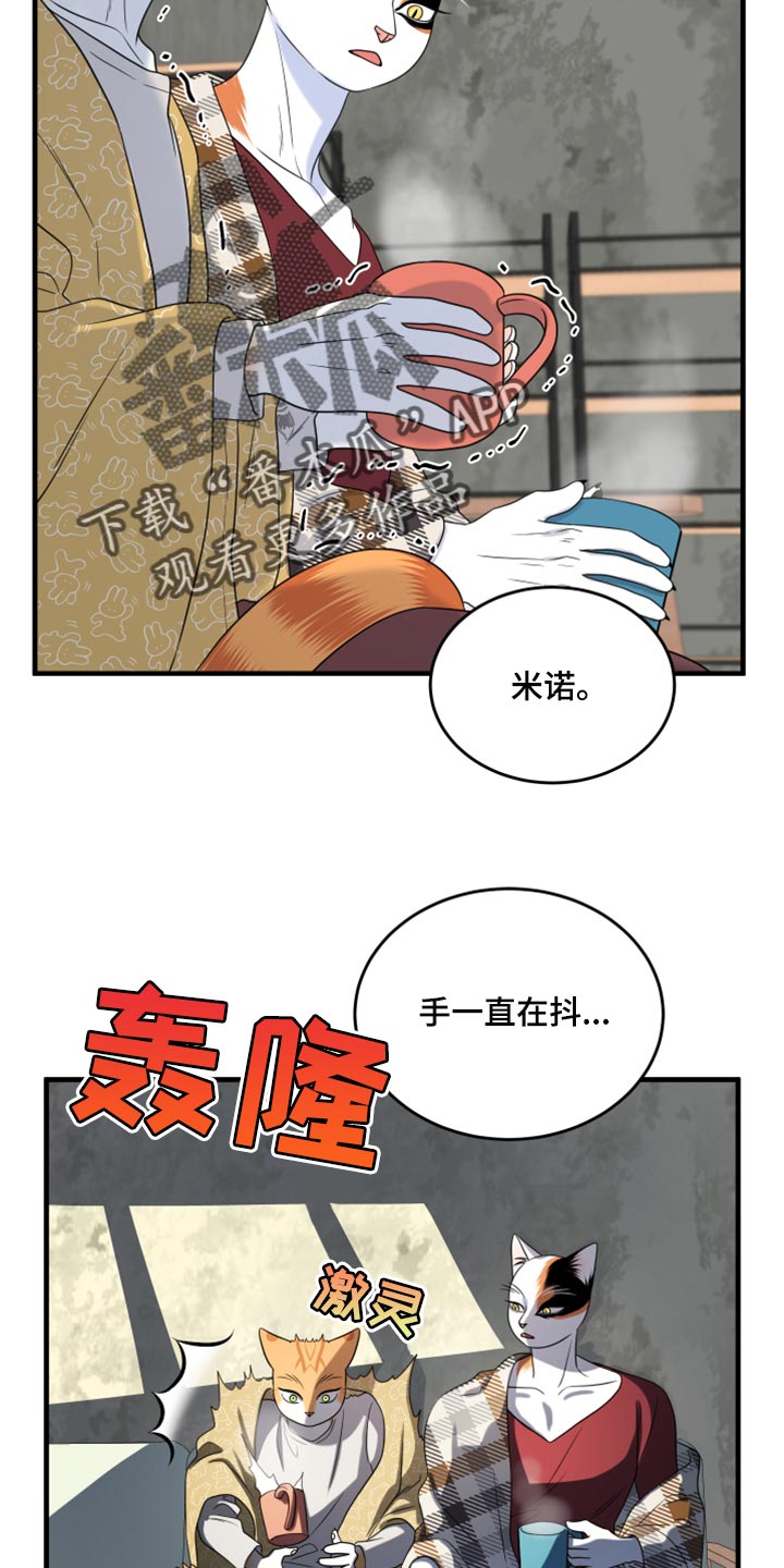 灵猫欧米伽免费阅读漫画,第89话2图